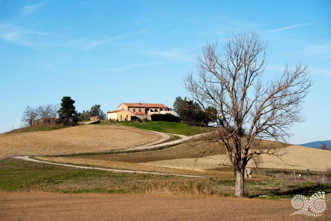 Poggio Alla Pietra 26 Porrona Exterior foto