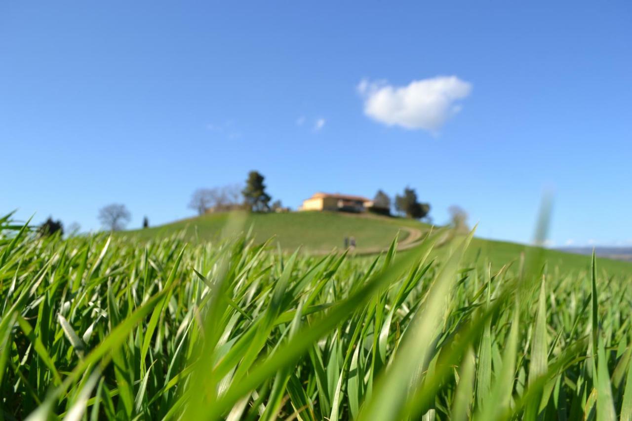 Poggio Alla Pietra 26 Porrona Exterior foto